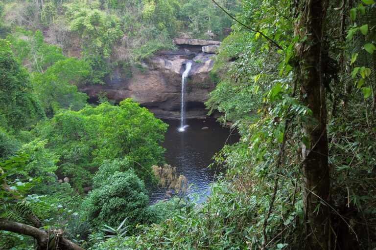 Haew Suwat Waterfall falling into a wide jungle pool in Khao Yai National Park