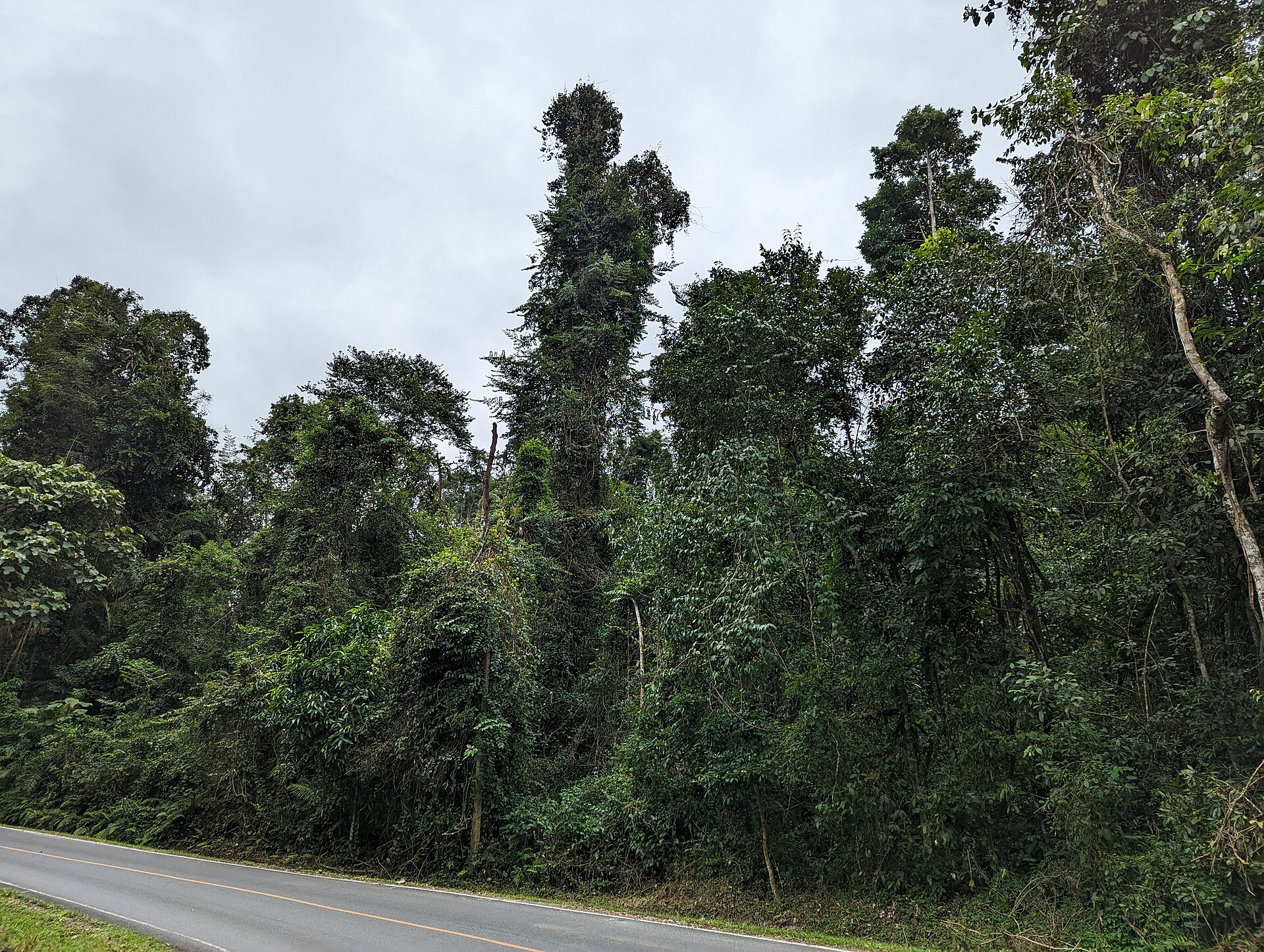 Green limestone hills seen from a country road near Khao Yai